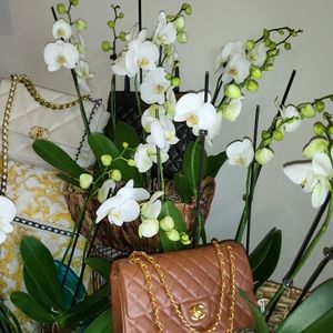 CHANEL Crossbody Bag